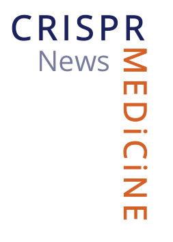 Digital Advertisment