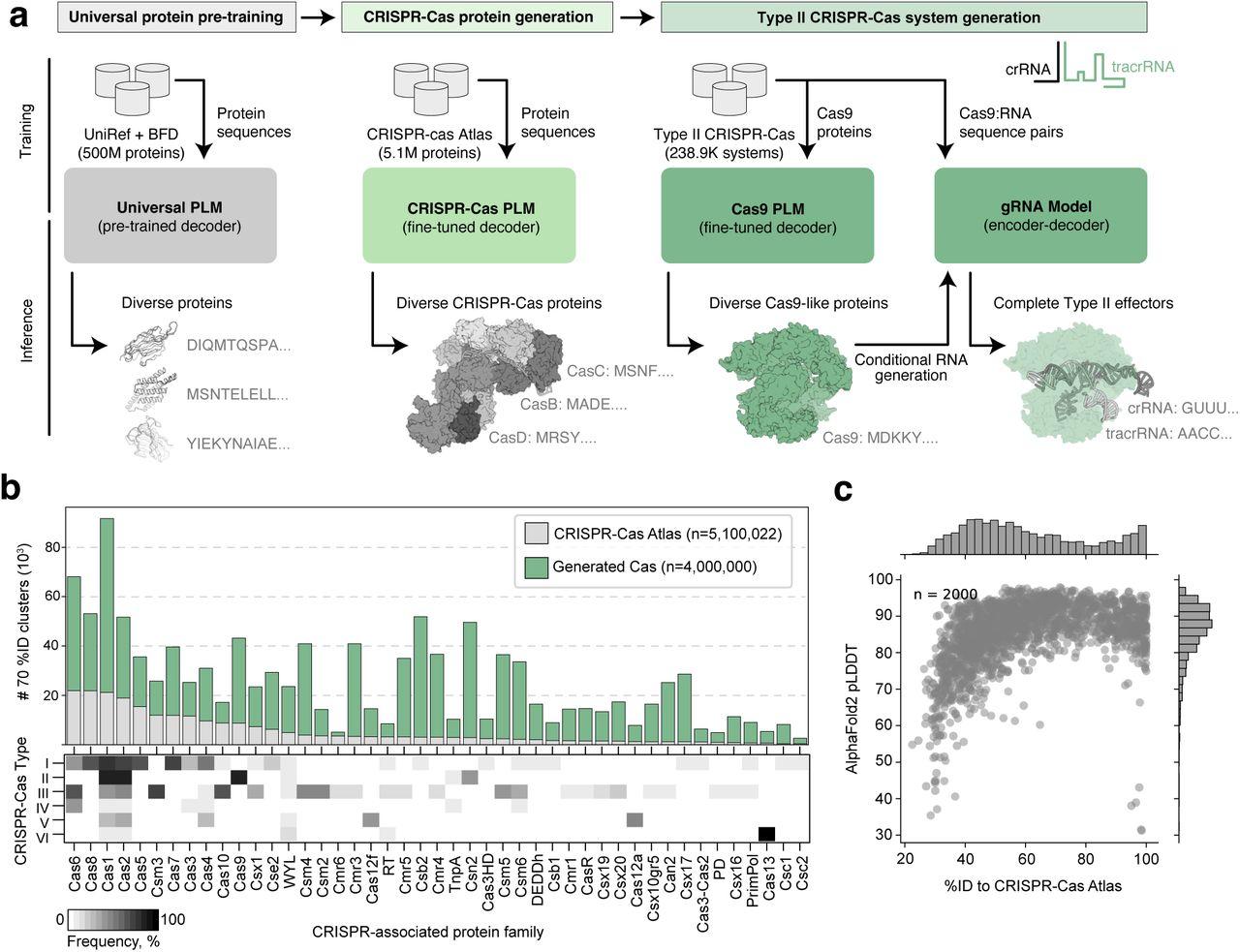 Figure 1. Diverse CRISPR-associated protein families. a) LLMs pre-trained on diverse proteins and...