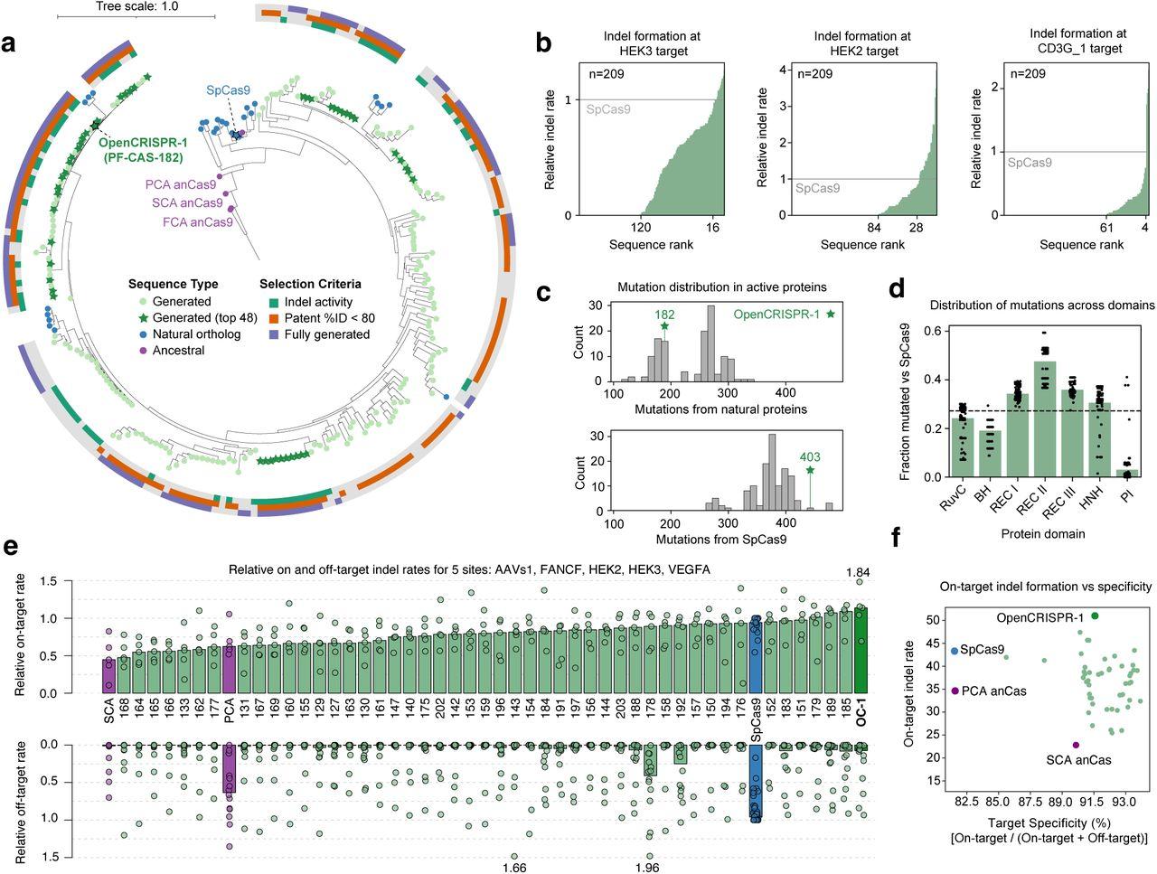 Figure 2. Generated nucleases as gene editors in human cells a) Phylogenetic tree of Cas9 proteins,...