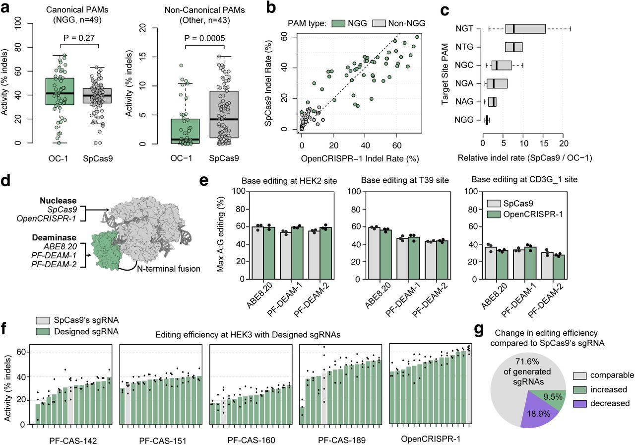 Figure 3. Characterisation of OpenCRISPR-1. a-b) OpenCRISPR-1 shows similar activity at NGG PAMs...