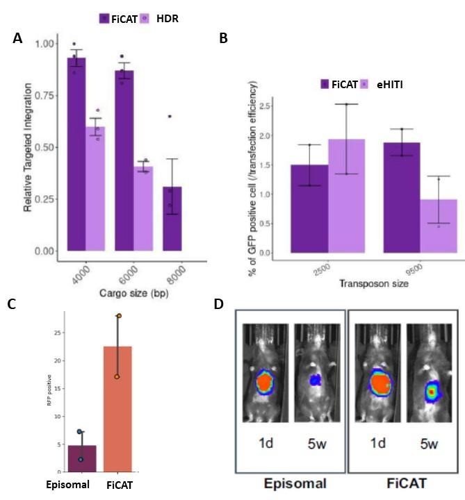 Figure 2. FiCAT efficiencies. A.FiCAT vs. HDR. B.FiCAT vs. enhanced (e)HITI. C.Optimised FiCAT in...