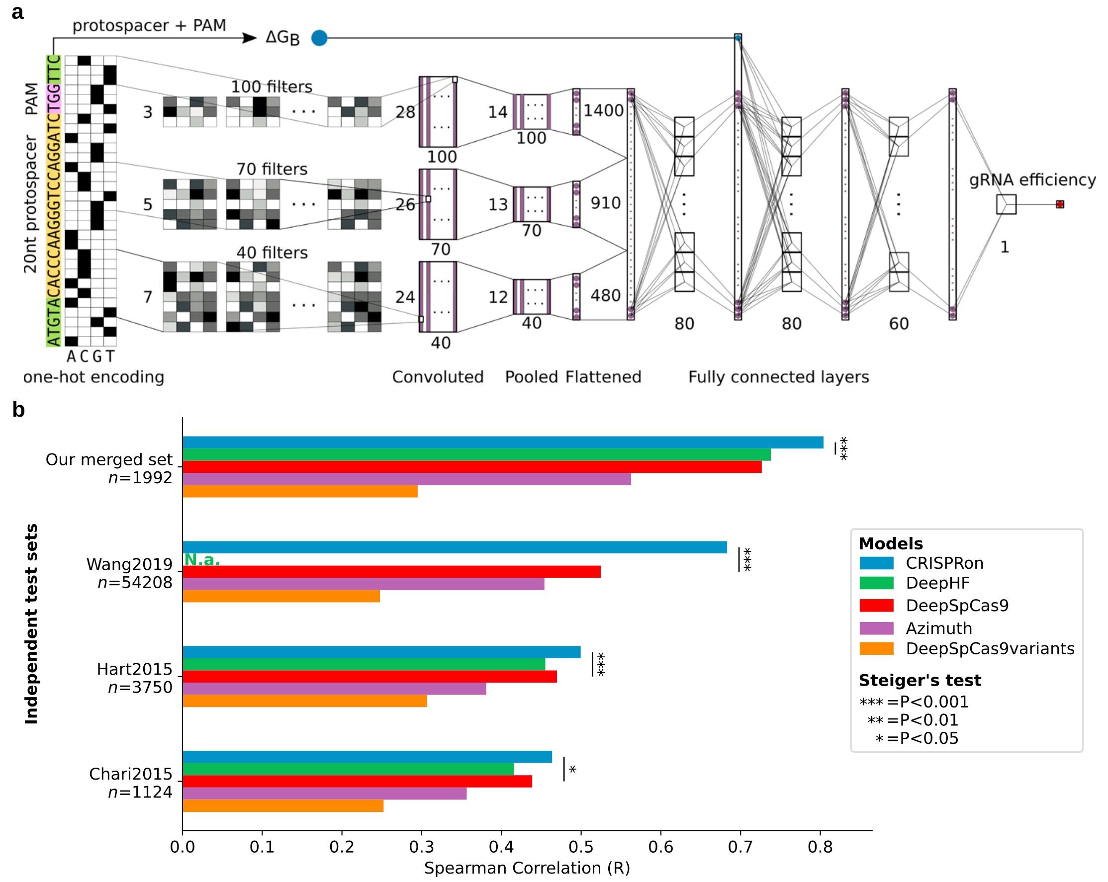 Schematic representation of the CRISPRon input (30mer sequence and binding energy, ΔGB) and...