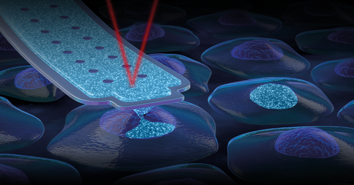 Figure 1: FluidFM technology enables gentle manipulation of single cells. Credit: Cytosurge
