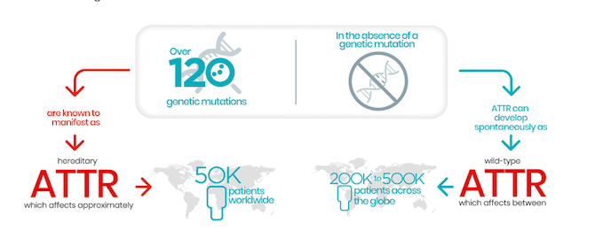Worldwide prevalence of spontaneous and hereditary transthyretin amyloidosis (ATTR). Source:...