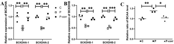 Figure 1. Base editing restores enzyme function and reduces toxic amino acids. A+B) qRT-PCR shows...
