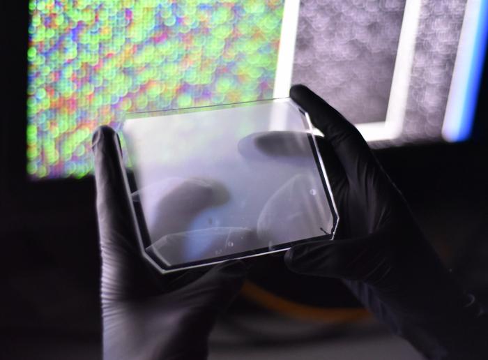 Photograph of the microwell CARMEN chip.
Credit: Michael James Butts