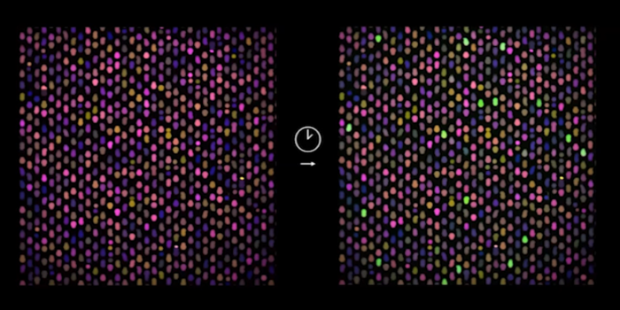 A picture of a portion of the CARMEN chip. Each dot is a microwell, and the colour tells the...