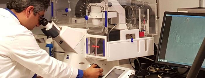 Dr. Lou at the microscope is hopeful the innovative strategy will be a new frontier for treatment...