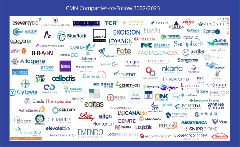 Company
