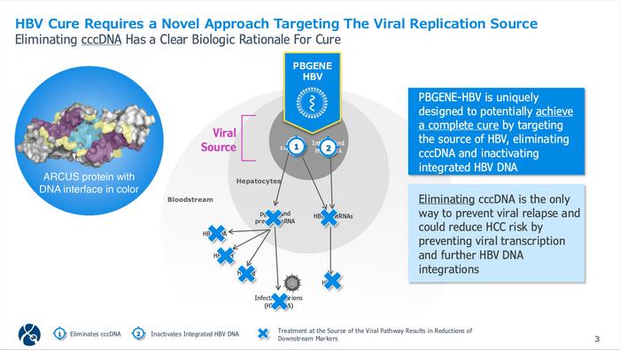 Figure 1. ARCUS nuclease targets both cccDNA and integrated HBV DNA. Modified from...