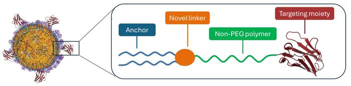 Diagram showing lipid structural diversity of AXL LNPs and surface chemistry strategies for targeted...