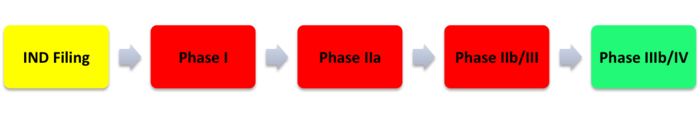 Development path for any new drug. IND: investigational new drug. Yellow: pre-clinical. Red:...
