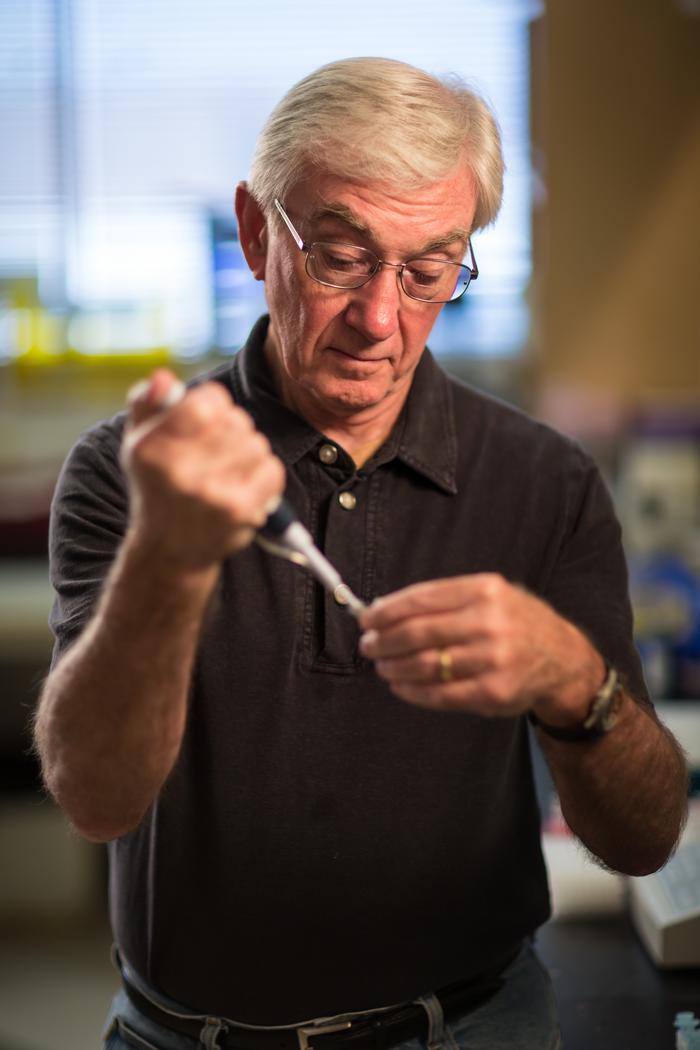 A potential cure says Dana Carroll, distinguished professor of biochemistry at the University of...
