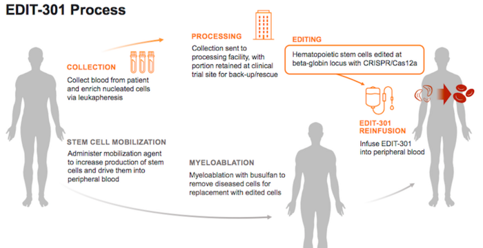 Schematic overview of EDIT-301 development and administration process. Source: Editas Medicine...