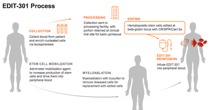 Schematic overview of EDIT-301 development and administration process. Source: Editas Medicine...