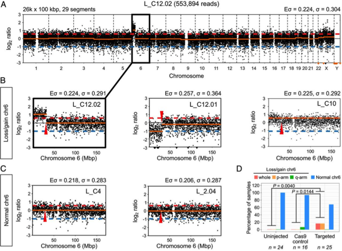 Segmental losses/gains of chromosome 6 in Pou5f1-targeted samples. (A) Copy number profile of sample...