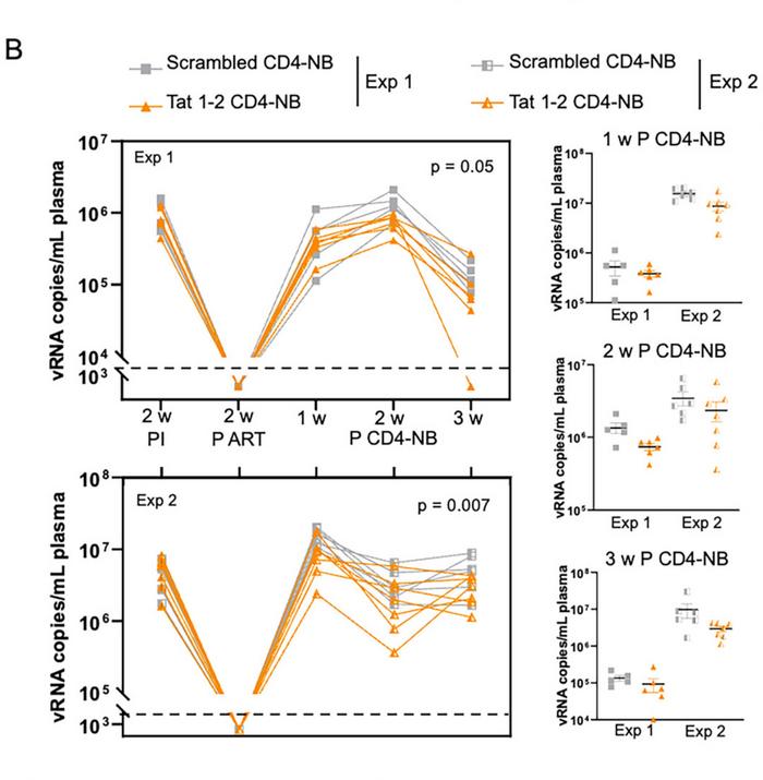 News: Delivery: CRISPR Nanoblades Target HIV in CD4 Cells - CRISPR