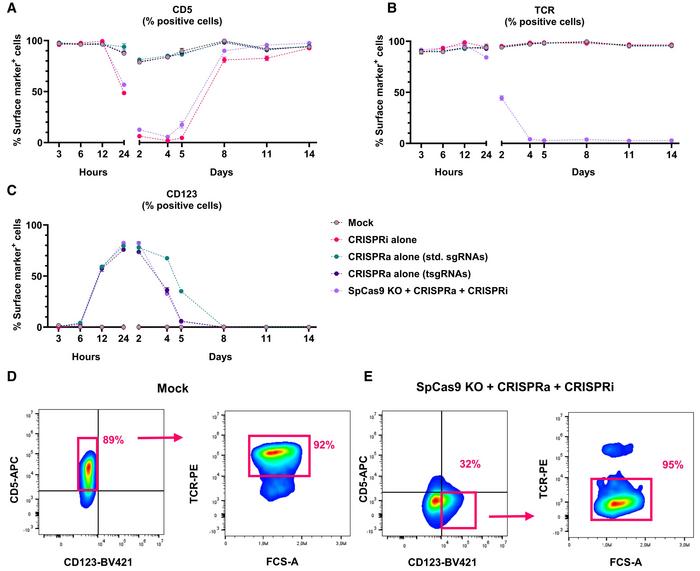 Figure 2. Trimodal engineering in primary T cells treated with AsCas12a for TRAC knockout,...