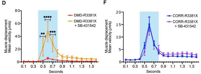 Quantification of the mean velocity of mutated (DMD-R3381X) and CRISPR-corrected (CORR-R3381X)...