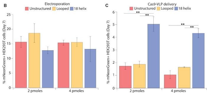 Figure 3. B+C) Knock-in efficiencies of unstructured, looped and 18-helix nanostructures using...