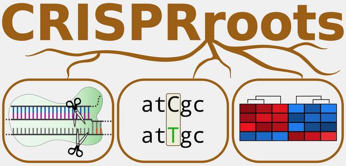 CRISPRroots' logo illustrates the three main applied information sources: (i) genome editing...