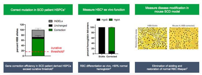 Correction of HBB mutaion in patient cells and engraftment into mice. Source: unpublished data...
