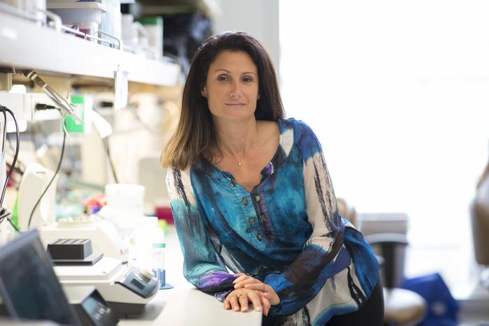 Stephanie Cherqui Ph.D is a Professor in the Department of Paediatrics, Division of Genetics at the...