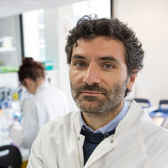 Mario Amendola is Group Leader in the research Unit 951, affiliated with Inserm, Université Paris...