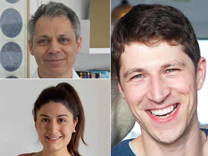The team behind CRISPRroots is located at the Center for non-coding RNA in Technology and Health at...