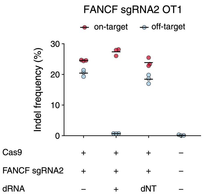 Indel frequencies and specificity ratios (on-target/off-target indel frequency ratios) at the FANCF...