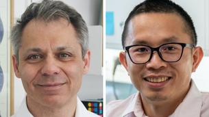Jan Gorodkin (left) is at the University of Copenhagen, Denmark. Yonglon Luo (right) is at Aarhus...
