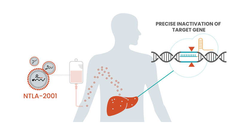 News: Clinical Trial Update: Positive Data For First Ever In Vivo ...