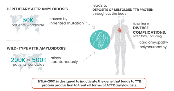Facts about Transthyretin (ATTR) Amyloidosis. Source: https://ir.intelliatx.com/