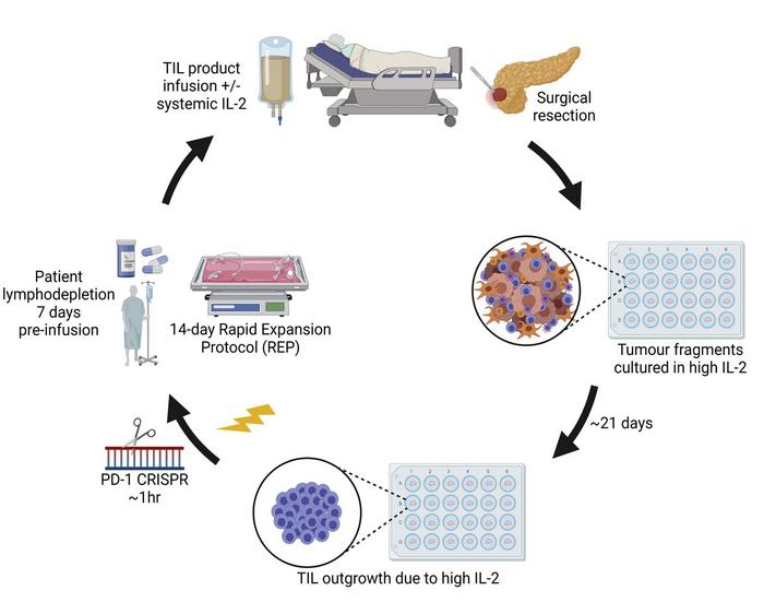 Nothing Goes Without Funding