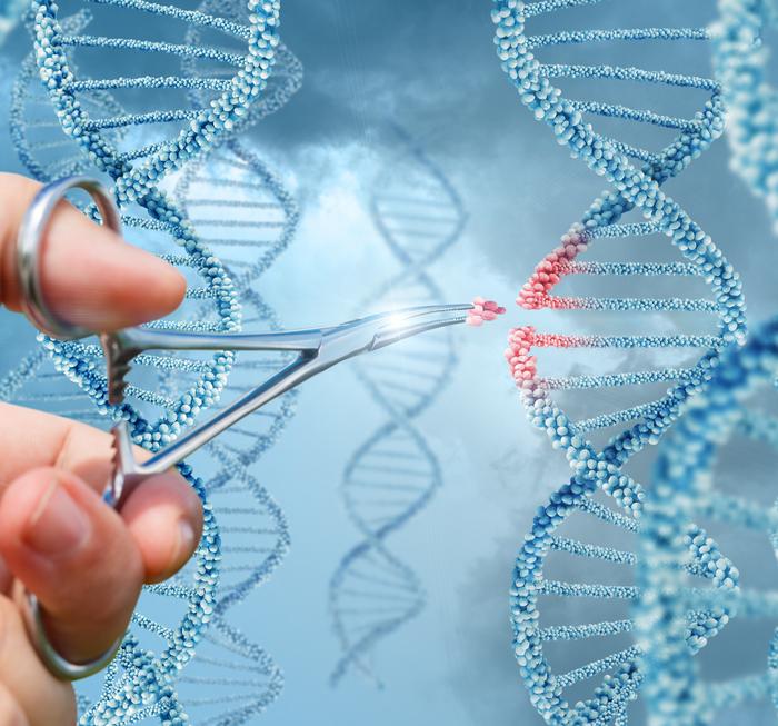 DNA Explainer: What is the standard operating procedure for Prime