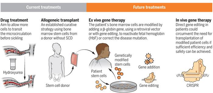 Overview of current and future gene-editing strategies to treat sickle cell disease. Image from...