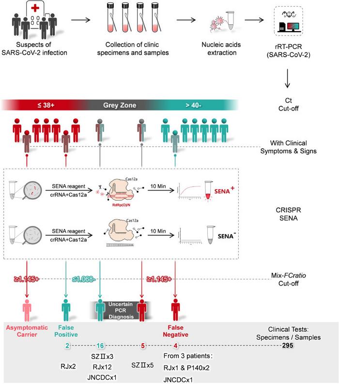 Schematic overview of SENA and its utility as a confirmatory diagnostic tool for SARS-CoV-2. RJ,...