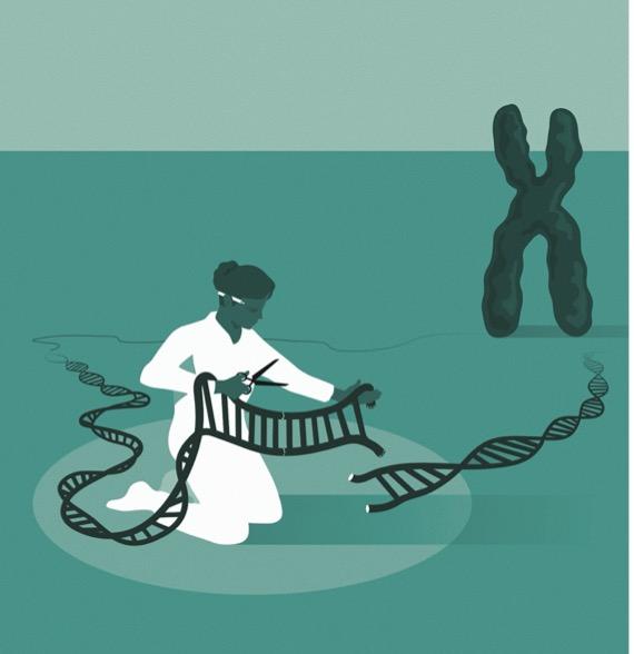 An artist's impression of CRISPR - the genetic scissors, that enable researchers to edit the genome...