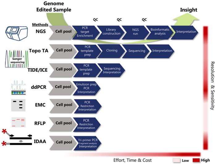 Comparative presentation of the most commonly used indel detection methodologies for genome editing....