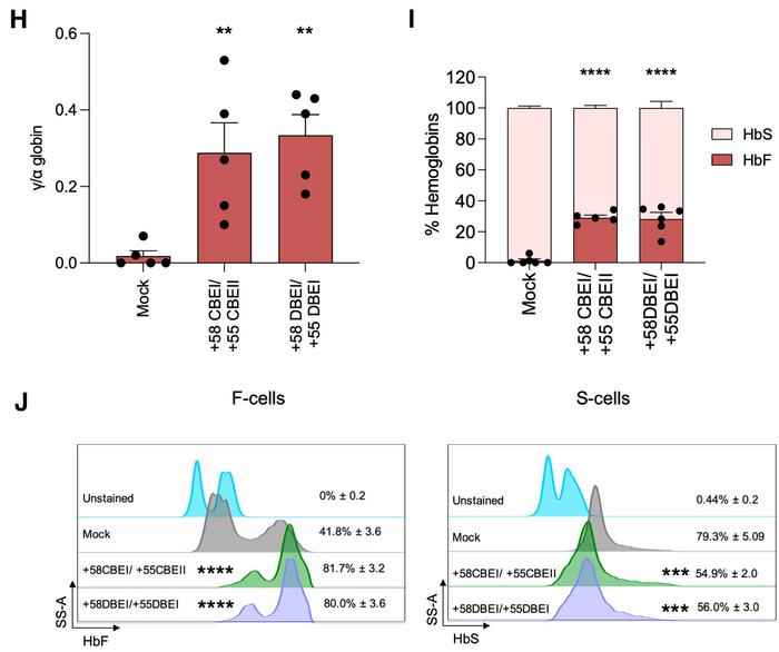 Figure 2. Therapeutic outcomes of multiplex base editing. H) Expression of γ-globin chains. I)...