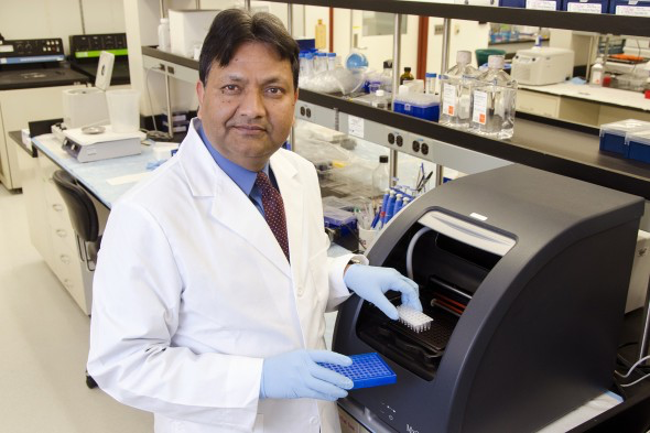 Subhash Pandey, Department of Psychiatry and Director of the Alcohol Research Centre at the...