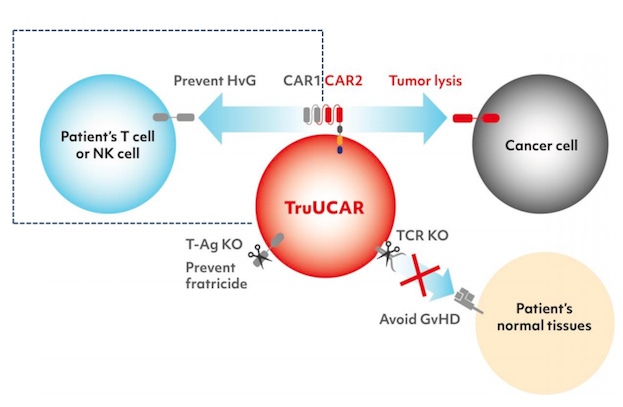 Schematic depiction of TruUCAR technology. T-Ag refers to donor cells' own T cell antigen to which...