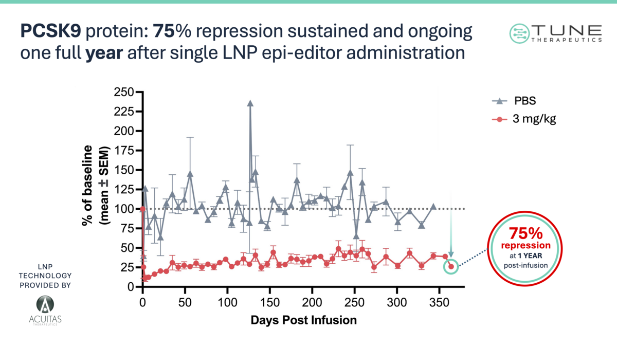 News: Tune Therapeutics: Can Epigenome Editing Cure Hepatitis B ...