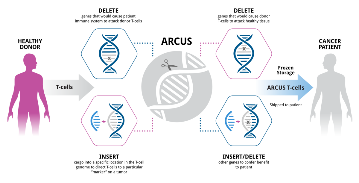 News: Latest Gene Editing Clinical Trials For Cancer - CRISPR Medicine