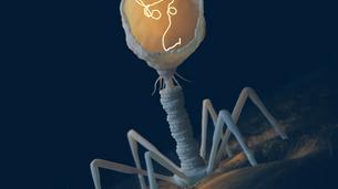 Image courtesy of Locus Biosciences