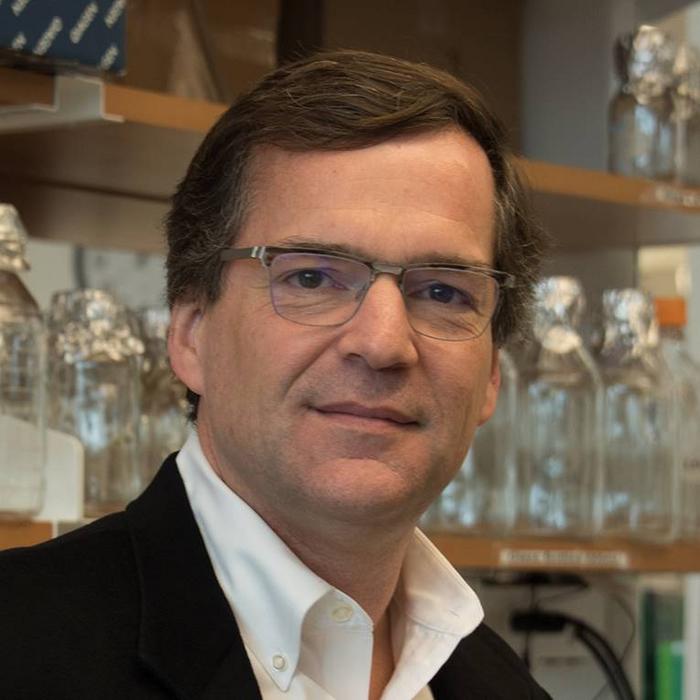 Erik Sontheimer is one of the scientists in a massive new NIH consortium, focused primarily on...