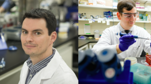 Which Protein Domain is Best for CRISPRi? A New Study Has the Answer