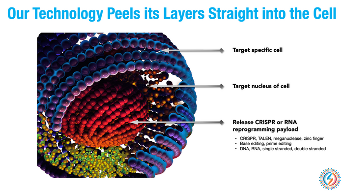 Ligandal technology is based on synthetic peptides capable of targeting receptors on specific cell...