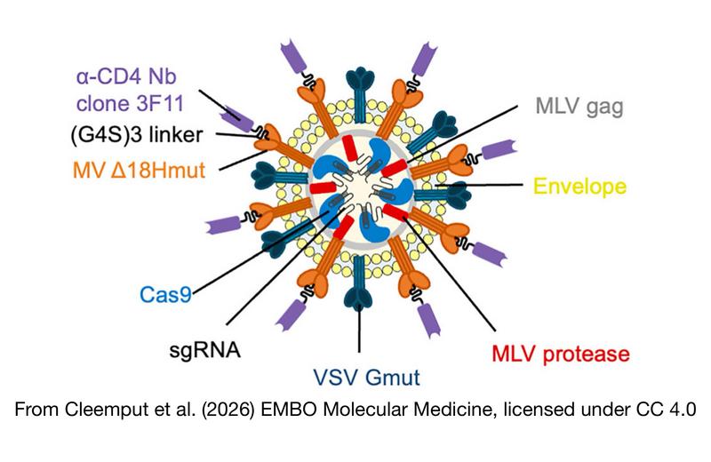 JE REVIENS ／CD4枚 News: Delivery: CRISPR Nanoblades Target HIV in CD4 Cells - CRISPR