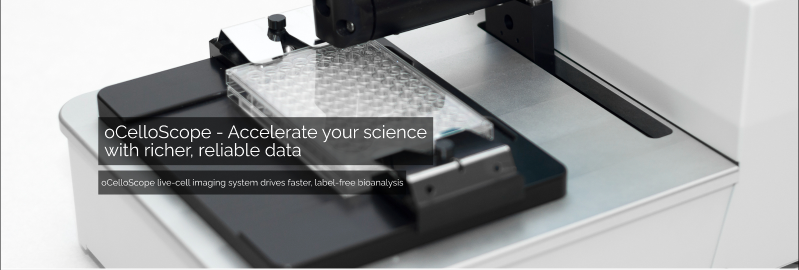 High throughput live-cell imaging of T-cells